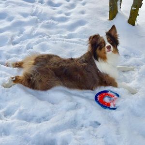 Meet your Posher, Belinda